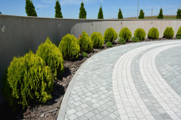 Best Permeable Paver Driveway  in San Mateo, CA